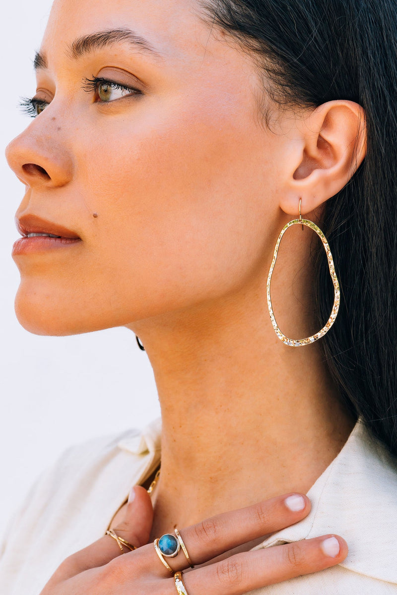 PARADIGM EARRINGS